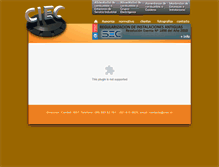 Tablet Screenshot of ciec.cl